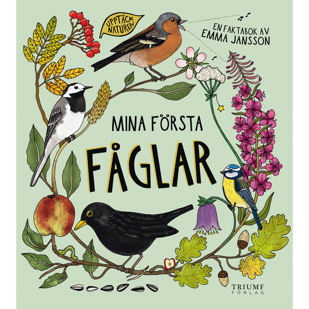 Mina första fåglar