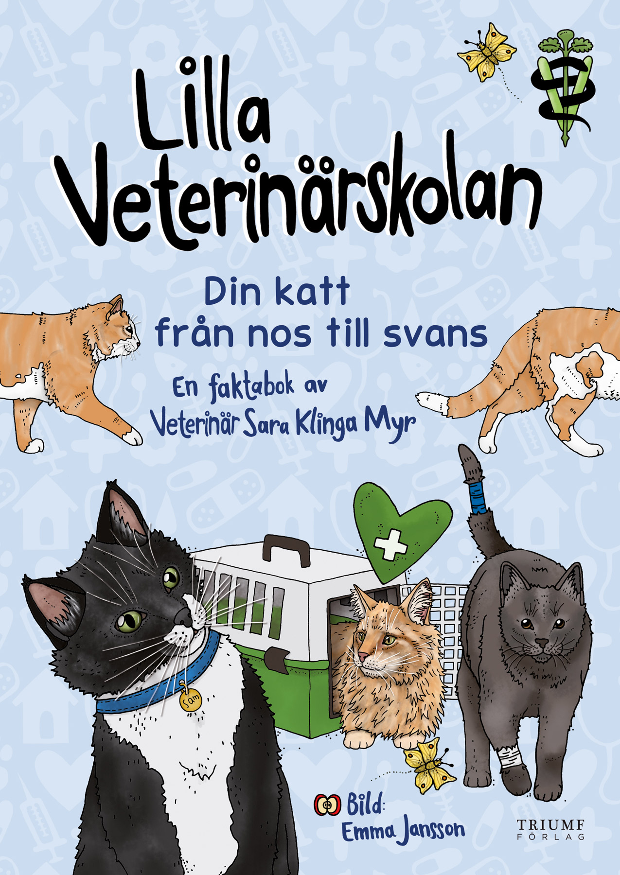 Lilla veterinärskolan katt