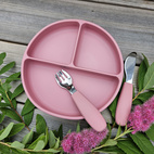 Plate divided silicone dusty rose