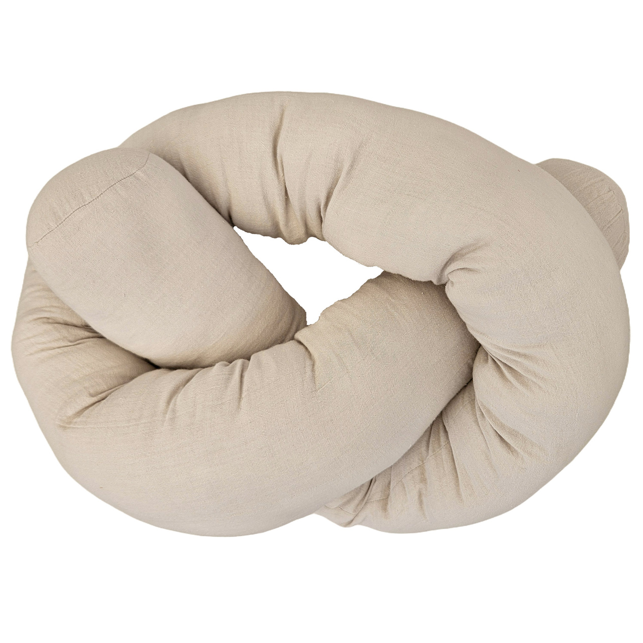 Sleep snake sandshell