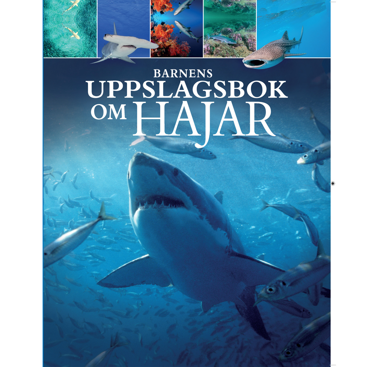 Barnens uppslagsbok om hajar