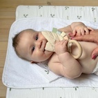 Prassellöv sandshell