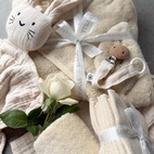 Presentset: Welcome baby sandshell