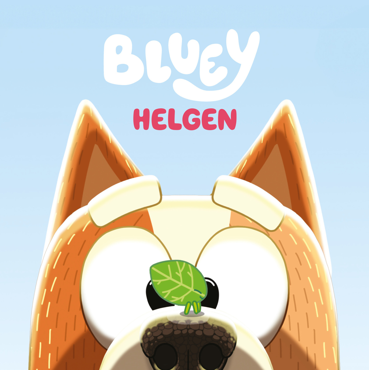 Bluey: Helgen